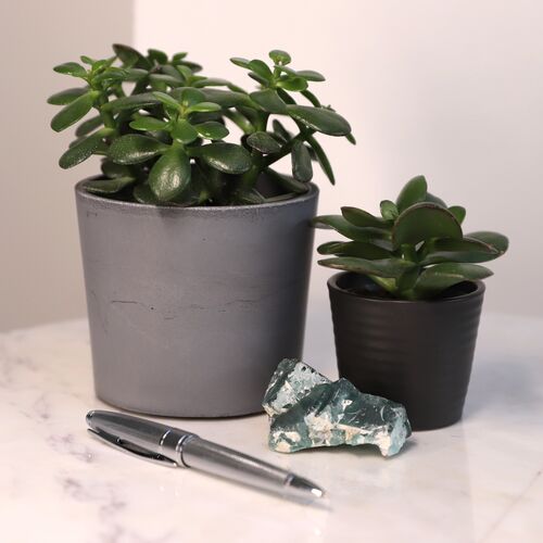 Fluorite Natural Cluster