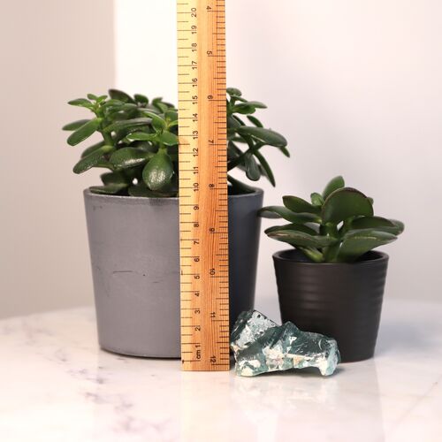 Fluorite Natural Cluster