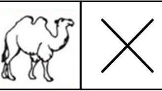 சின்ன‌மாக‌ ஒட்ட‌க‌ம்