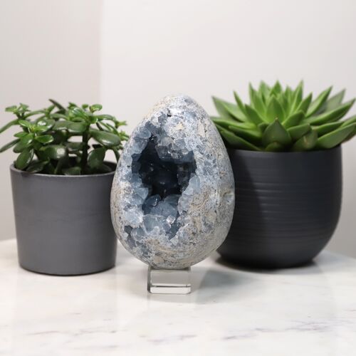 Celestite Egg Geode Crystal
