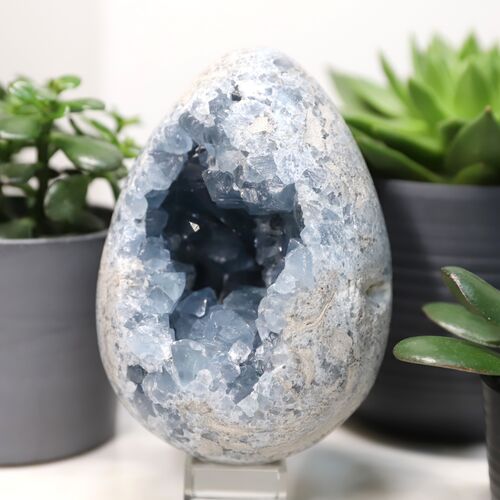 Celestite Egg Geode Crystal