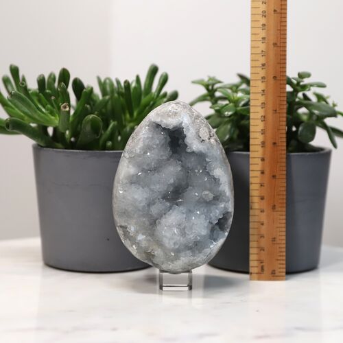 Celestite Egg Geode Crystal
