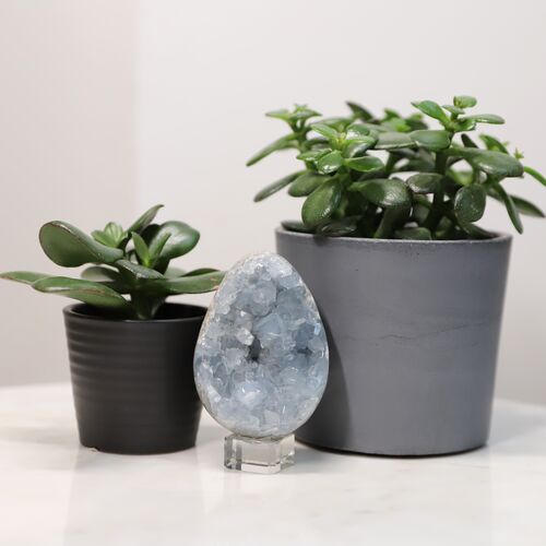 Celestite Egg Geode Crystal