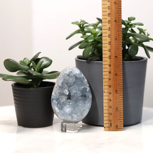 Celestite Egg Geode Crystal