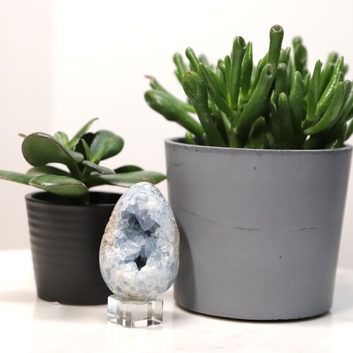 Celestite Egg Geode Crystal