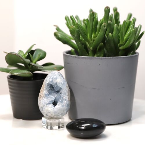 Celestite Egg Geode Crystal