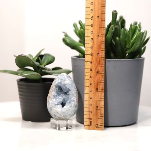 Celestite Egg Geode Crystal