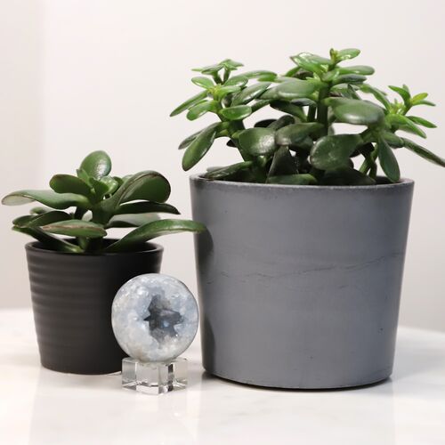 Celestite Sphere Geode Crystal