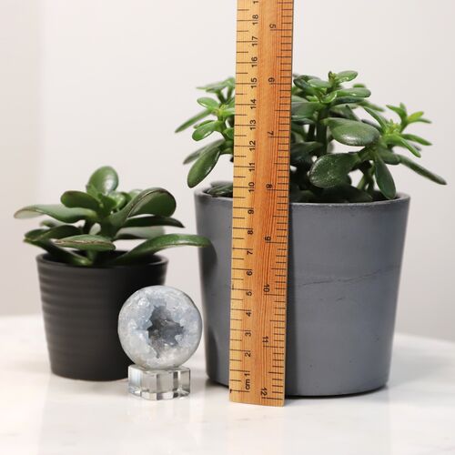 Celestite Sphere Geode Crystal