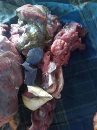 பலவகைச் செய்தித் துணுக்குகள்