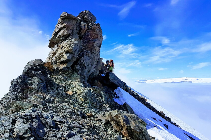 Wild Iceland - Expedition. Nupstaðarskógar