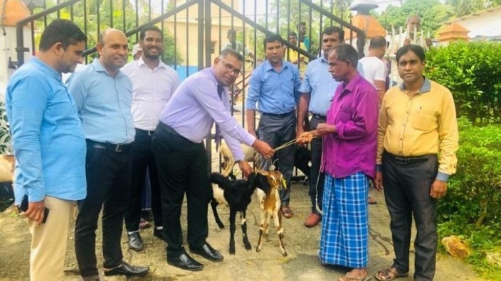 ஆடு வளர்ப்புத்திட்டம்