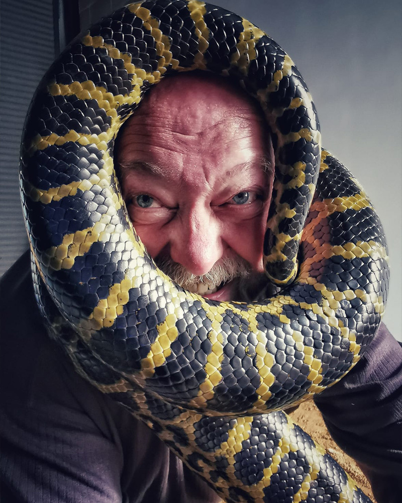 Exotic animal provider UK