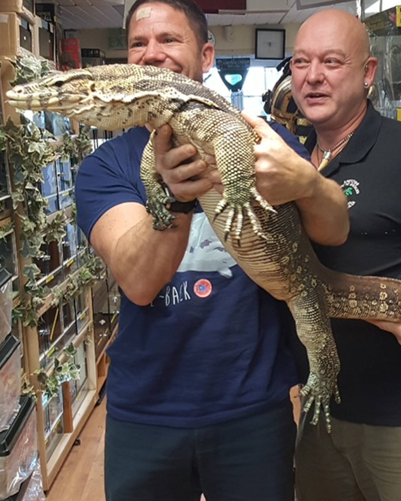 Animal educational talks for schools