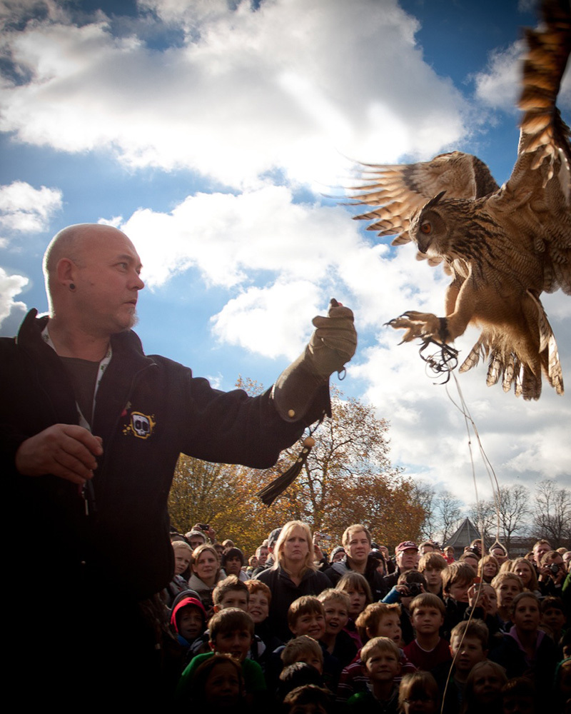 Exotic animal provider UK