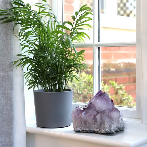 Amethyst Cluster Crystal