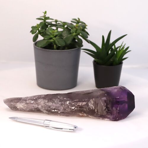 Amethyst Royal Scepter natural Point