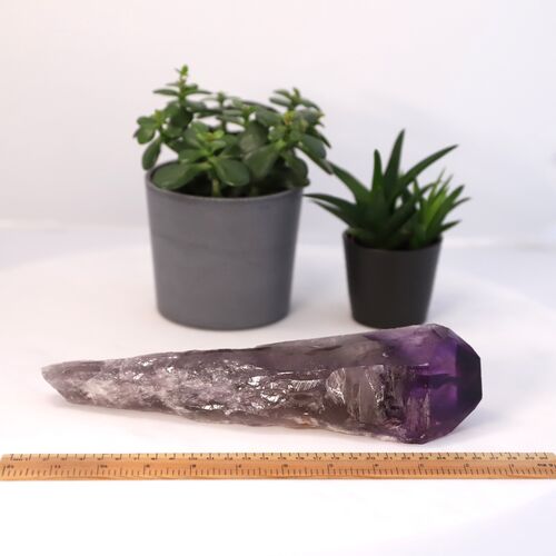 Amethyst Royal Scepter natural Point