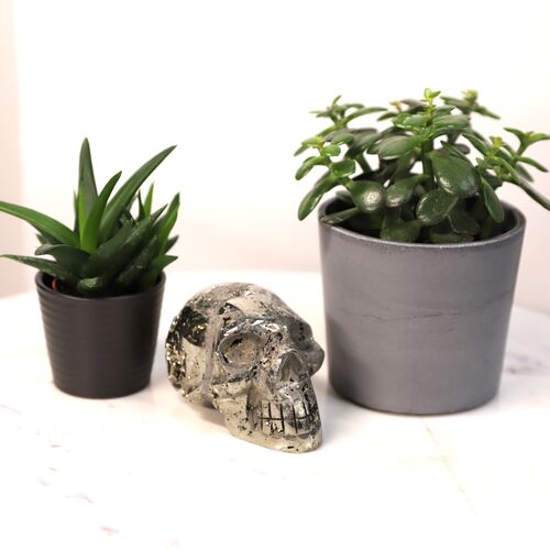 Pyrite Polished Skull Free Form