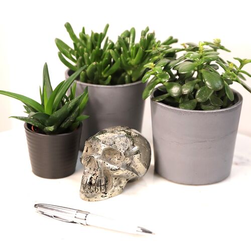 Pyrite Polished Skull Free Form