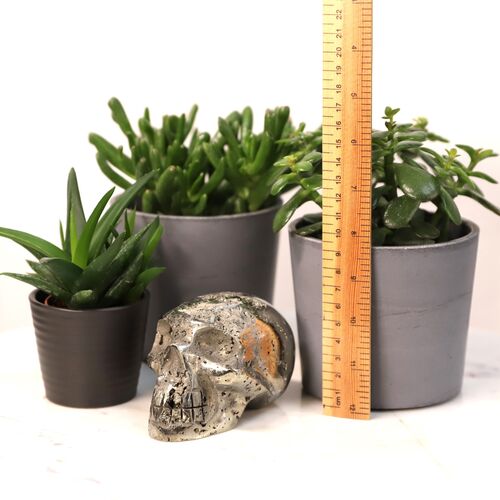 Pyrite Polished Skull Free Form
