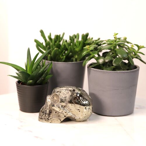 Pyrite Polished Skull Free Form