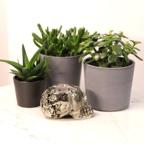 Pyrite Polished Skull Free Form