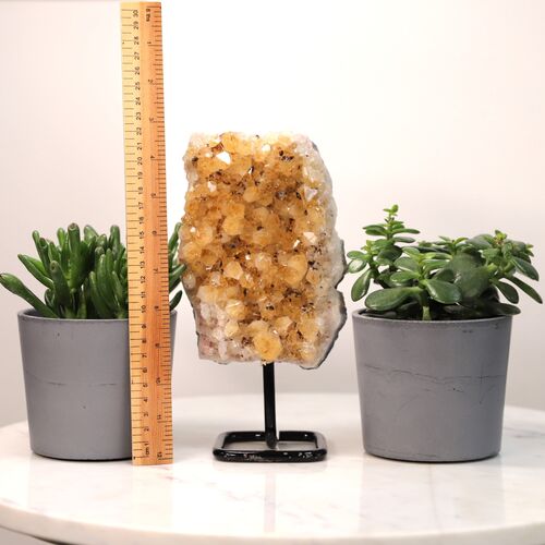 Citrine Free Standing Geode