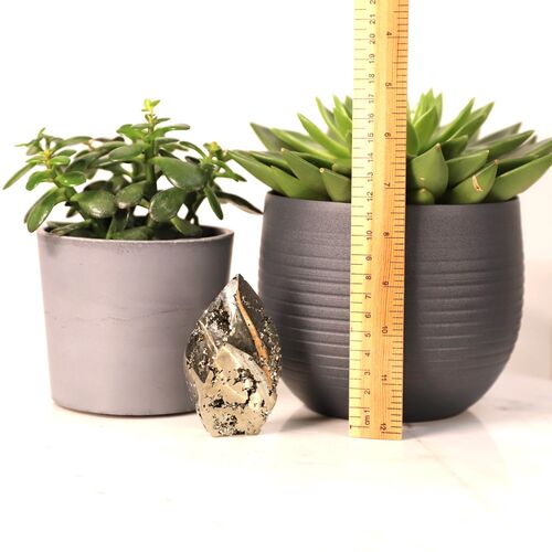 Pyrite Free Form Flame