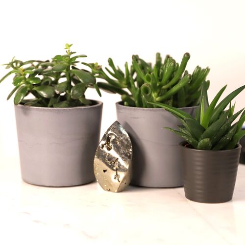 Pyrite Free Form Flame