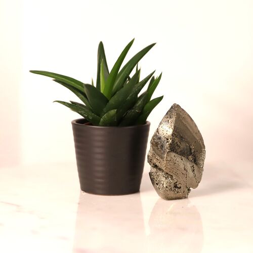 Pyrite Free Form Flame