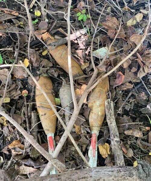 பலவகைச் செய்தித் துணுக்குகள்