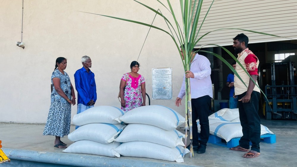 தைப்பொங்கலை முன்னிட்டு 'மெசிடோ' நிறுவனம் வறுமையில் வாழும் மக்களுக்கு நெல் வழங்கிவைப்பு