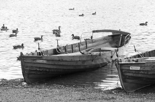 it's the governance, stupid