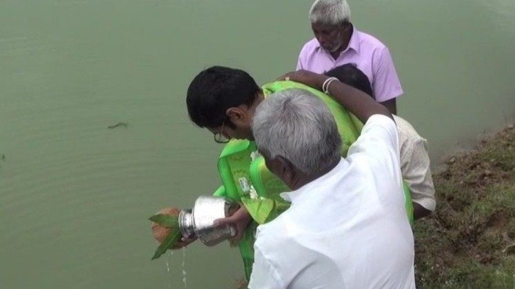 பட்டிப் பொங்கல்