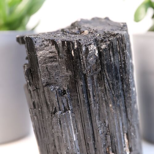 Black Tourmaline Crystal