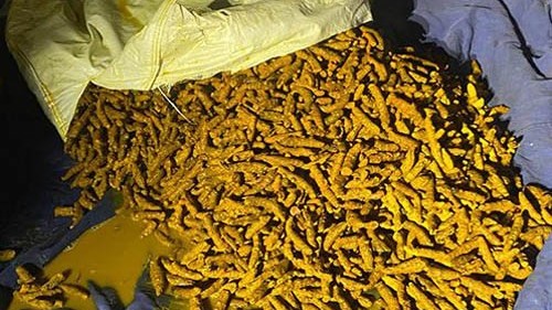 மஞ்சல் கடத்தலில் ஈடுபட்ட இருவர் படகுடன் கைது