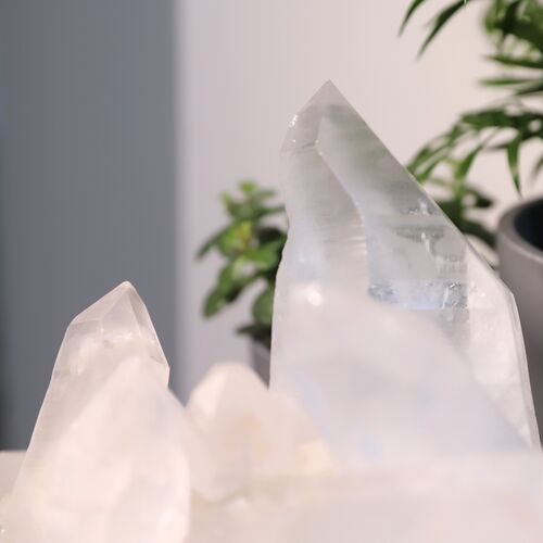 Lemurian Quartz Cluster