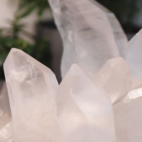 Lemurian Quartz Cluster