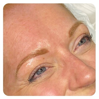 Semi-Permanent Brow Masters Training