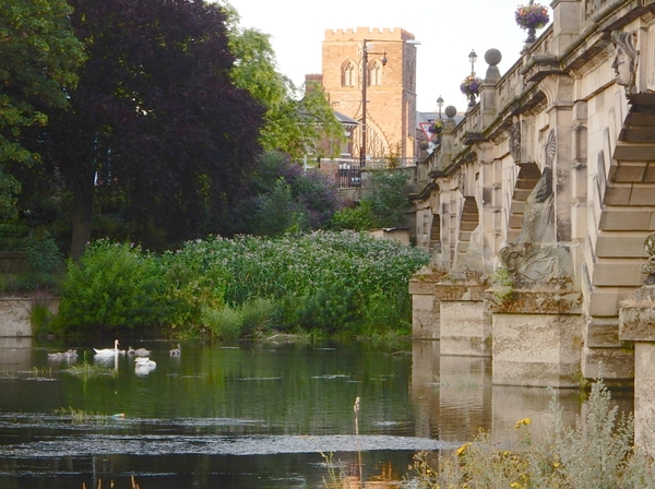 *DIG THIS FEBRUARY 2023*