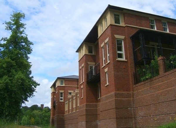 *IN THE LOOP FEBRUARY 2023*