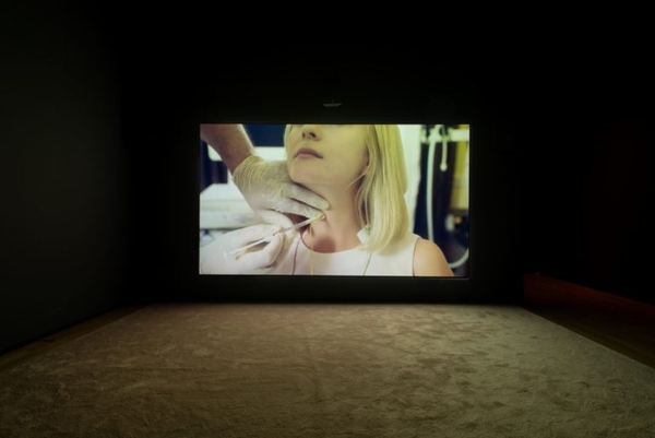 British Art Show 9 Exhibition Review in Third Text.