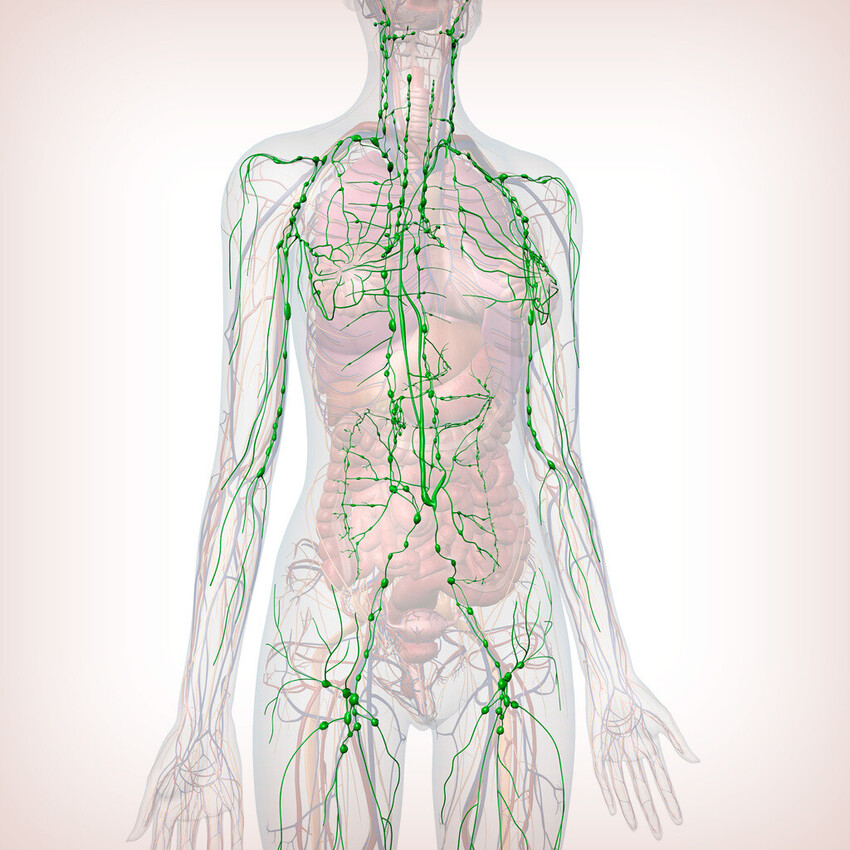 Manual lymphatic drainage massage