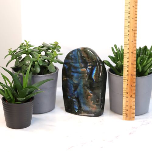 Labradorite Free Form