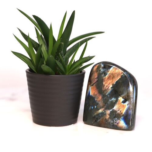 Labradorite Free Form