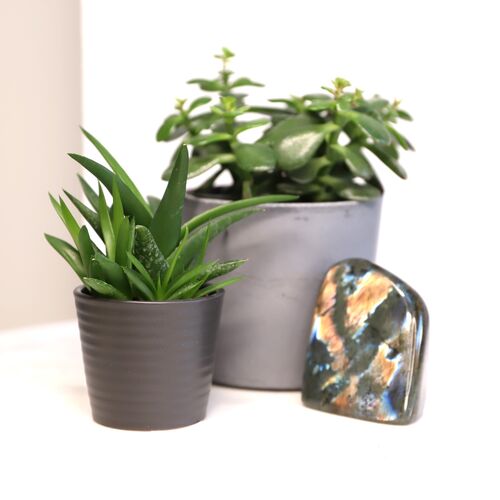 Labradorite Free Form