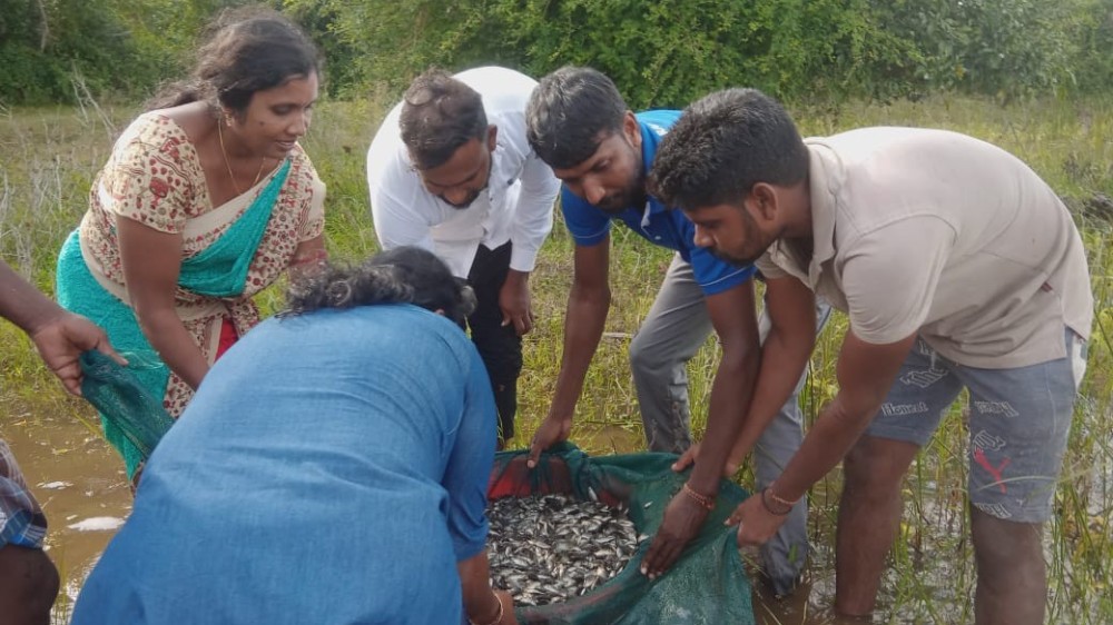 றகமா நிறுவனத்தின் நன்னீர் மீன் வளர்ப்பு செயல் திட்டம்