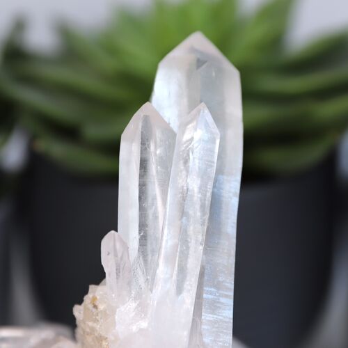 Lemurian Quartz Cluster
