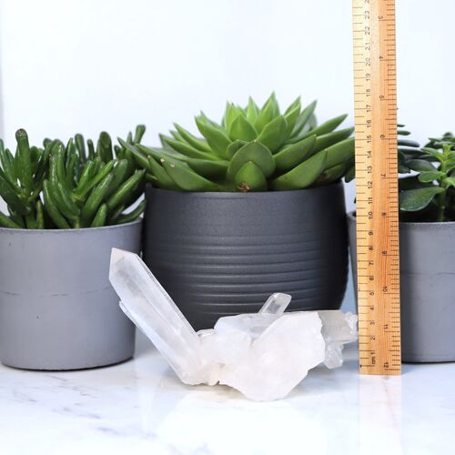 Lemurian Quartz Cluster